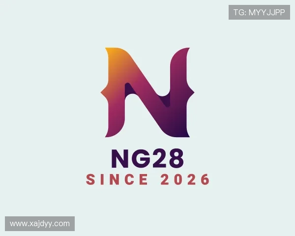 关于NG28